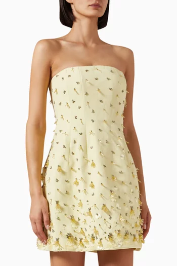 Yasmin Bustier Mini Dress