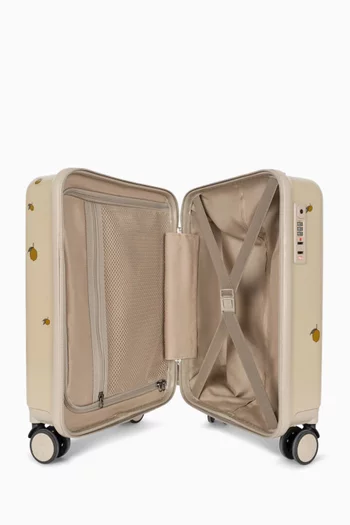 Cabin-size Carry-on Luggage