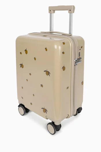 Cabin-size Carry-on Luggage