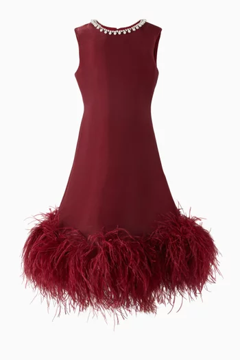 Feather Skirt Dress