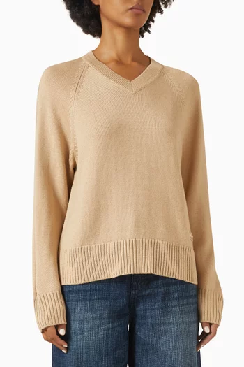 V-neck Sweater in Knit