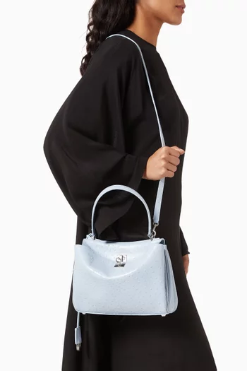 Small Rodeo Handbag in Shiny Ostrich-embossed Calfskin