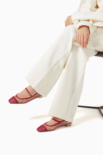 Juliette Embroidered Ballet Flats in Mesh