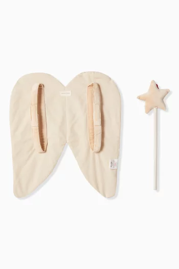 Fairy Dress Up Set