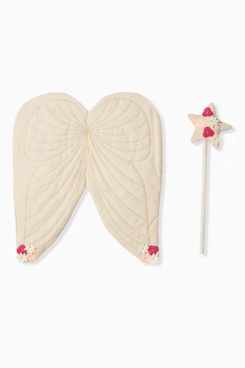 Fairy Dress Up Set