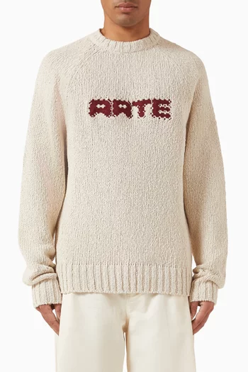 Pixel Logo Sweater in Knit