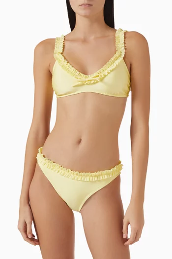 Cassidy Bikini Briefs