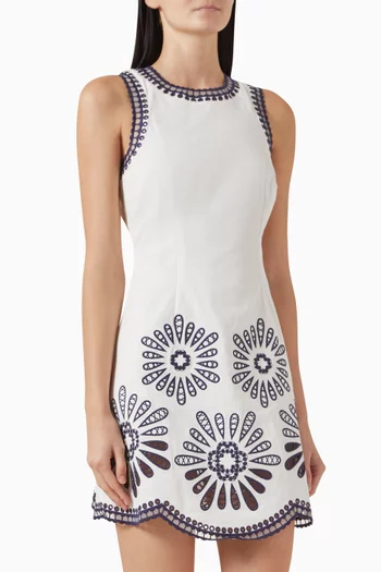 Embroidered Mini Dress in Cotton