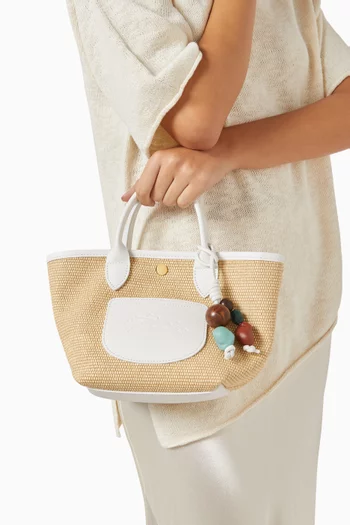 XS Le Pliage Collection Basket Bag in Canvas