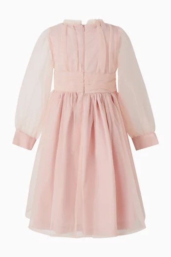 Long Sleeve Dress in Tulle