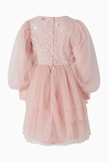 Embroidered Dress in Tulle