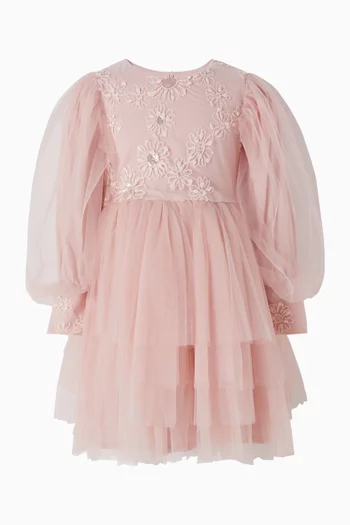 Embroidered Dress in Tulle