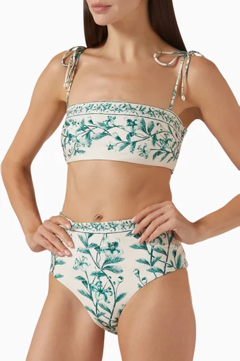 Primavera Ceiba Bikini Top