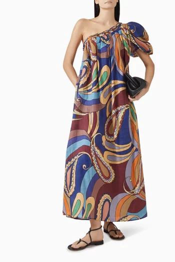Dijon Printed One-shoulder Maxi Dress