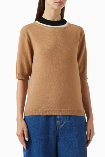Bicolour Neck Sweater in Wool