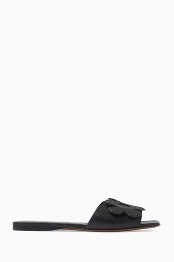 Daisy Sandals in Calf Leather