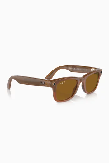 Meta Wayfarer Sunglasses in Injected Acetate