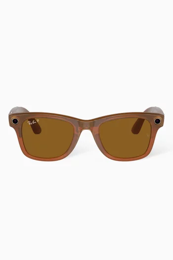 Meta Wayfarer Sunglasses in Injected Acetate