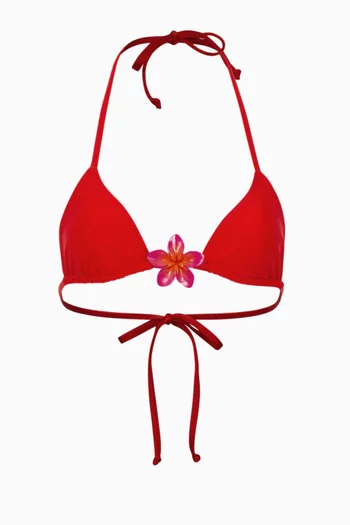 Island Triangle Bikini Top