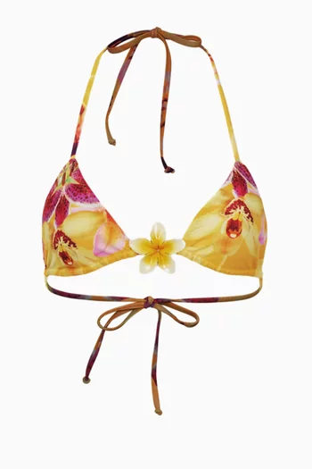 Island Triangle Bikini Top