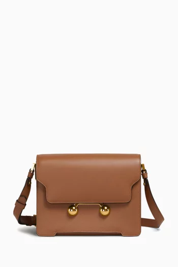 Medium Trunkaroo Shoulder Bag in Calfskin Leather