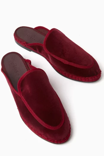 Bruna Slippers in Velvet