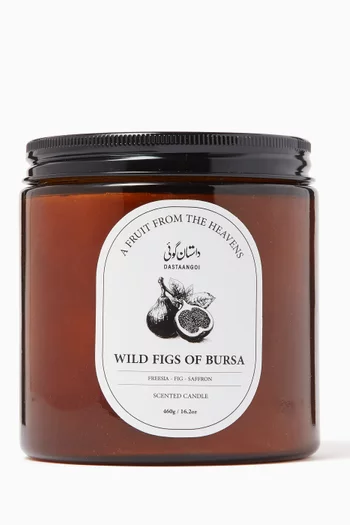 Wild Figs of Bursa Candle, 460g