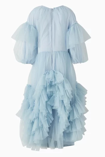 Tania Ruffled Long Dress in Tulle
