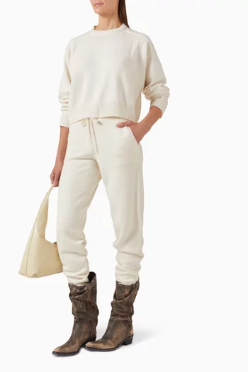 Herpero Sweatpants in Cashmere
