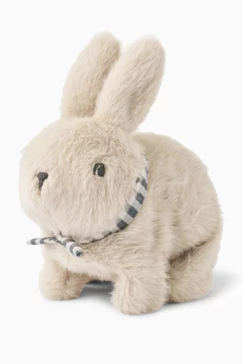 Dev Motoric Rabbit Plush Toy