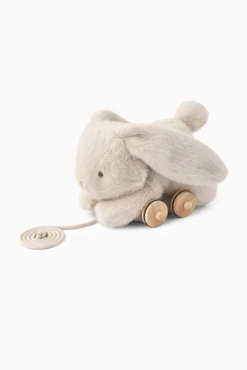 Pera Pull Along Rabbit