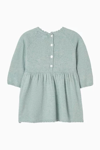 Floral Embroidered Dress in Knit