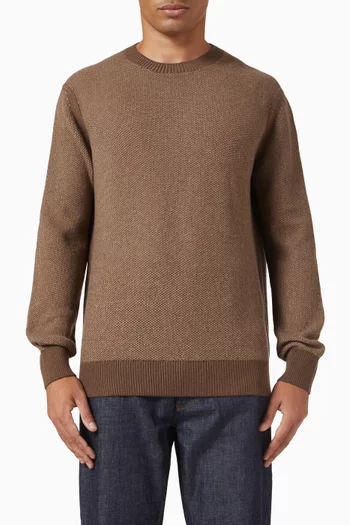 Oasi Crewneck Sweater in Cashmere