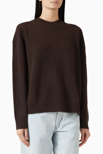 Lee Crewneck Sweater in Knit