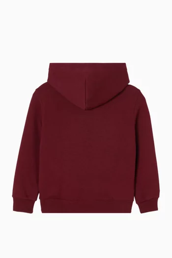 Polo Bear Hoodie in Cotton