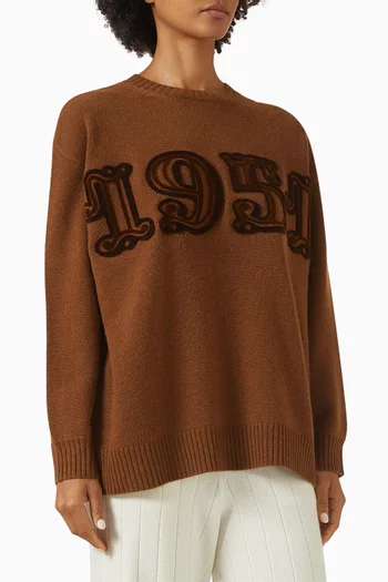 Fido Embroidered Sweater in Wool-cashmere