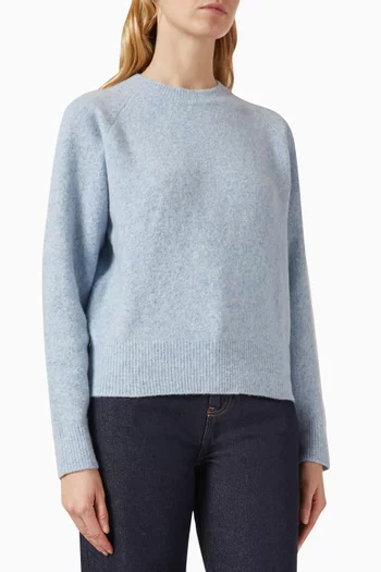 Unisex Shaggy Dog ​​Sweater