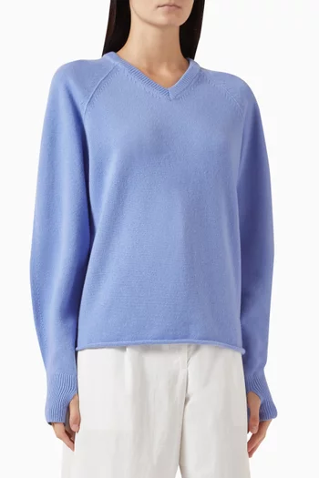 V-neck Sweater