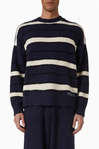 Shaggy Striped Sweater in Knit