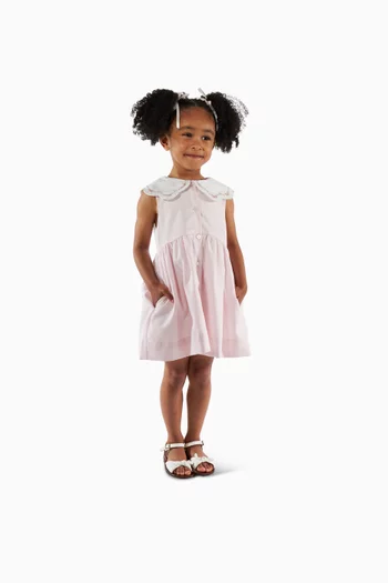 Colette Flared Dress in Cotton