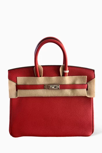 Unused Birkin 25 in Togo Leather