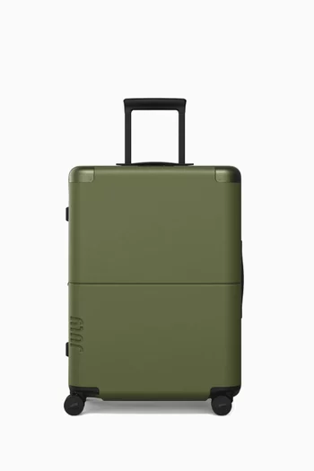 Checked-in Suitcase