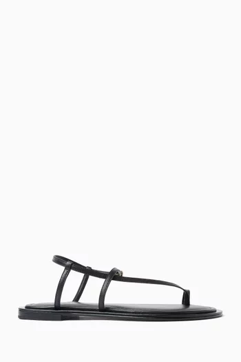 صندل ريف قنب قطني