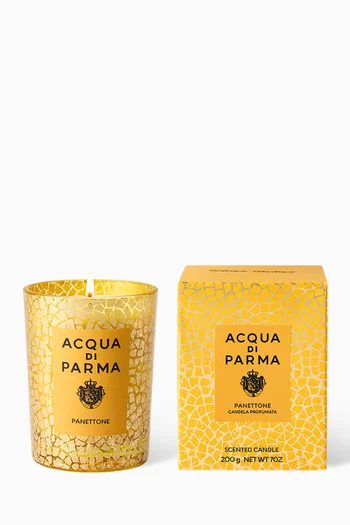 Holiday Collection Panettone Candle, 200g