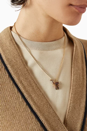 Vicuña Enamel Necklace in Brass