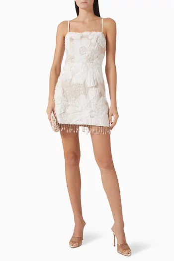 Roxana Mini Dress in Mesh