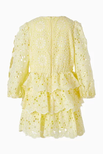 Skyla Embroidered Mini Dress