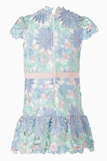 Addison Embroidered Mini Dress