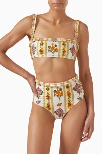 قطعة بيكيني علوية أولمو كورديليرا