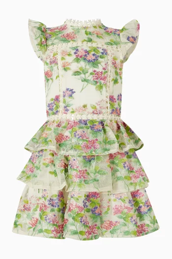 Clementine Embroidered Mini Dress